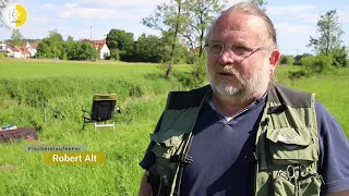 Angeln mit Fischereiaufseher Robert Alt