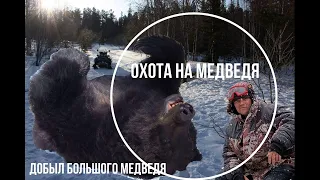 Охота на медведя в Сибири. Добыл огромного медведя