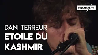 Dani Terreur - Etoile du Kashmir