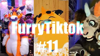 Furry Tiktok Compilation #11