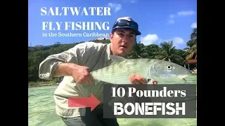 Saltwater Fly Fishing in the Caribbean - 10 pounders bonefish