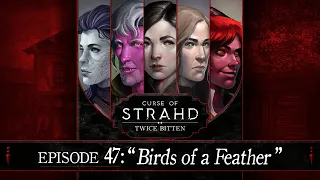 Birds of a Feather | Curse of Strahd: Twice Bitten — Episode 47
