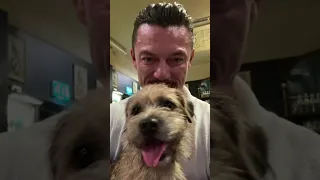 Luke Evans & cute dogs 🐶😍