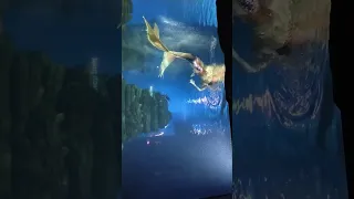 mermaid show