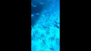 Sailing to THE BEST snorkeling spot in Fuerteventura.