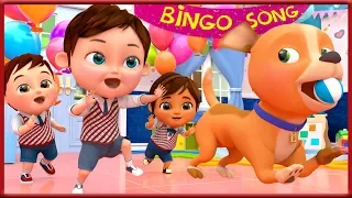 🔴 Bingo School Dog Song , Baby Shark , Happy Birthday Song , Wheels on the Bus - Banana Cartoon