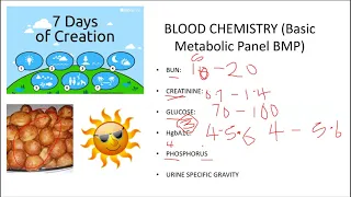 Laboratory Values Nursing NCLEX Review for Nurses and Nursing Students