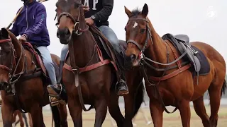 Arena Polo Tournament and Hot Air Balloon are coming to Chandigarh