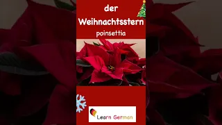 18. der Weihnachtensstern | Christmas Special | Learn German | #shorts