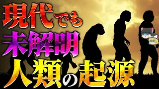 【総集編】人類の起源と進化の謎。ネアンデルタール人とアクァッホの真実【ゆっくり解説】【睡眠用】【作業用】