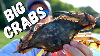 The JUMBO Crabs were DEEP- Crabbing Chesapeake Bay