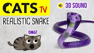 CATS TV - Catch Realistic Snake 🐍 - 3 HOURS (Video Game for Cats to Watch)