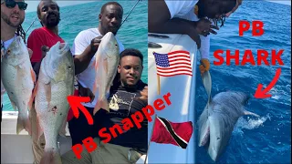 MONSTER MUTTON SNAPPER AND SHARKS Caught By Friends From Trinidad