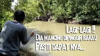 Mancing di Muara di pohon² Bakau, ikanya Lumayan (test Spot baru)