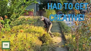 TRANSFORM a 100 Year Old OVERGROWN Yard Back To CLEAN