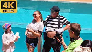 Tom the magnificent mime from SeaWorld Orlando 😂🤣 Tom the mime #tomthemime #seaworldmime