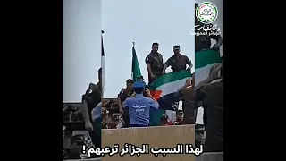مشهد من العرض العسكري للجيش الجزائري الذي زعزع عـ.ـدو فلسطين !؟