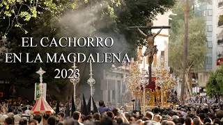 4K || EL CACHORRO EN LA MAGDALENA || 2023
