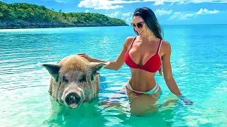 Hello Summer Music - Feeling Happy 2019 - The Best Of Vocal Deep House Music