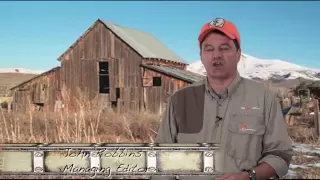 Pheasant Hunting 101 - NRAhuntersrights.org