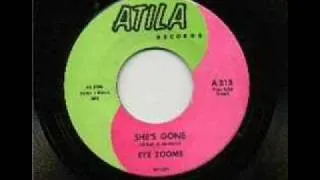 The Eye Zooms - She´s Gone (1966)