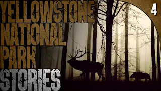4 TRUE Disturbing Yellowstone National Park Stories