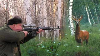 Hunting Siberian Roe deer 4 | Lov sibirskog srndaća | Caccia al capriolo siberiano