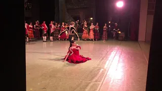 Mercedes of ballet Don Quixote