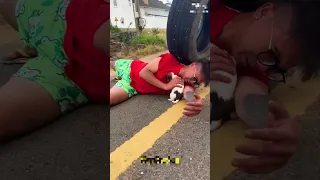 incredible animal escapes | He cried for help after a car hit him until this happened | save the dog