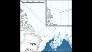 Incredible Journey of an Arctic Fox: Norway to Canada in 76 Days