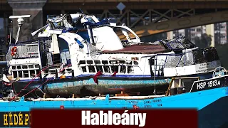 The tragic collision of the riverboat Hableány on the Danube.