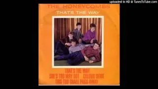 The Honeycombs - Colour Slide _ This too shall pass away - 01