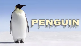 Emperor penguin sounds