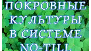 Покровные культуры в системе ноу-тилл Крым