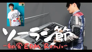 【ｿｰﾗﾝ節-和風EDM Remix-】ｴﾚｸﾄｰﾝ演奏