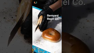 A slice of home: The northeastern bagel experience brought to UM #umiami #hurricane #entrepreneur