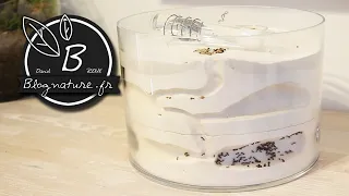 Fabrication d'une fourmilière pour fourmis moissonneuses (Messor) version 2 / Blognature.fr