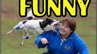 Hilarious Stupid Fails Vine Funny Vine Video Funny Coub Best Fails 2017 Funny Fails