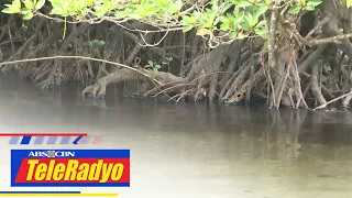 Hindi magkakatugmang pagtugon ng gobyerno sa oil spill inupakan ng isang envi group | TeleRadyo