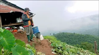 Beautiful Thai Mountain Village Simple Happy Lifestyle | Rural Thai Quest | Thailand Village Life