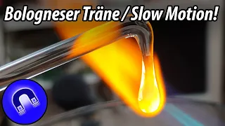 Bologneser Tränen mit Highspeedkamera!