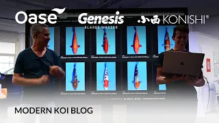 Modern Koi Blog #5510 - Die Konishi Koi aus Auktion 554