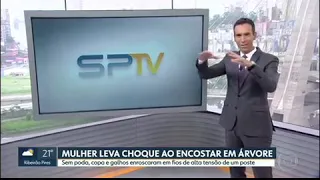 Mulher leva choque em uma árvore e sobrevive