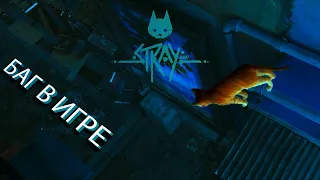 Неожиданно. Прохожу игру - Stray с моим другом. Я не Мармок, но все таки нашёл баг.