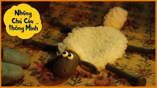 Những Chú Cừu Thông Minh 🐑 Đặc vụ bí mật Shaun Phần 3 Tập đầy đủ