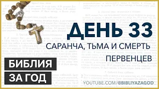 День 33:  Саранча, тьма и смерть первенцев – «Библия за год» с о. Майком Шмитцем