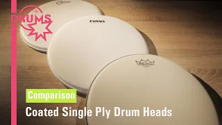 Single Ply Snare Drum Heads Comparison from REMO, Evans, Aquarian | Home Of Drums