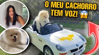 MEU CACHORRO FALANDO POR UM DIA! 😦 *novelinha*