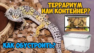 Террариум или контейнер для геккона эублефара – как выбрать и как обустроить?