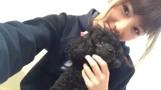 岡田奈々【AKB48】愛犬